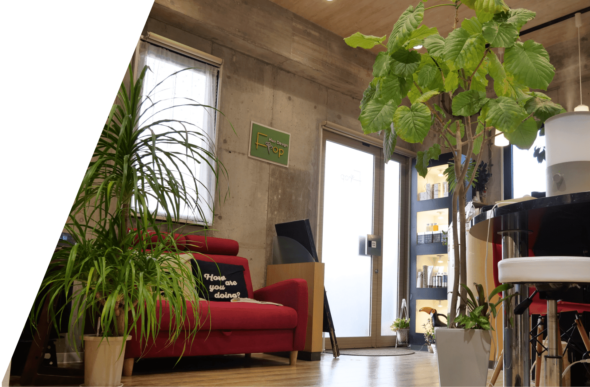 コンセプトイメージ